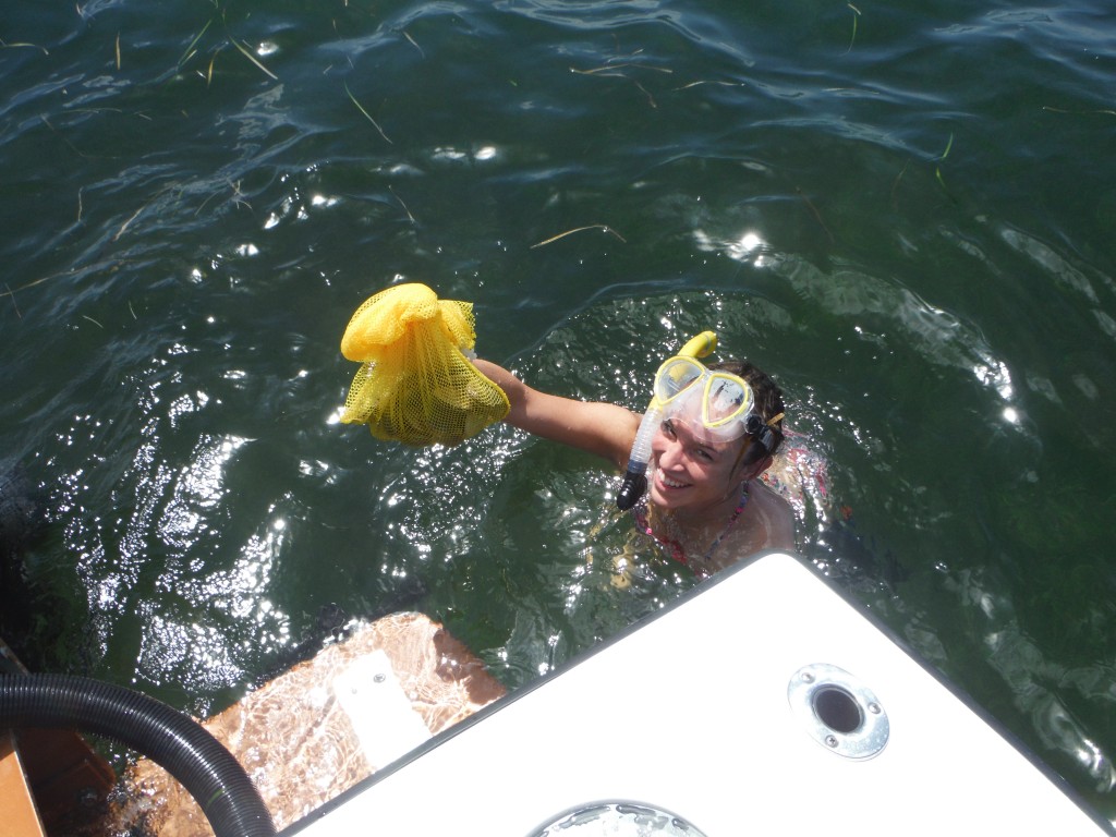 Scalloping Homosassa Scalloping Homosassa Charters