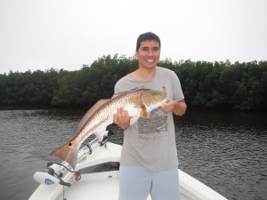 tampa fishing charters